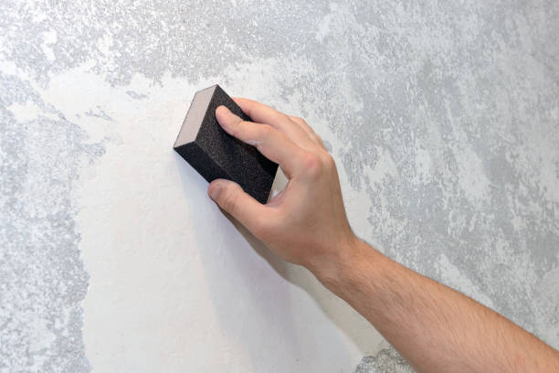Best Mold Prevention Services  in Waterloo, IN
