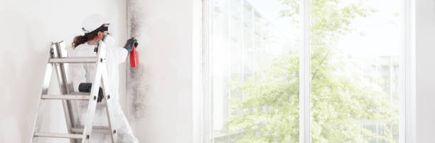 Best HVAC Mold Inspection and Cleaning  in Waterloo, IN