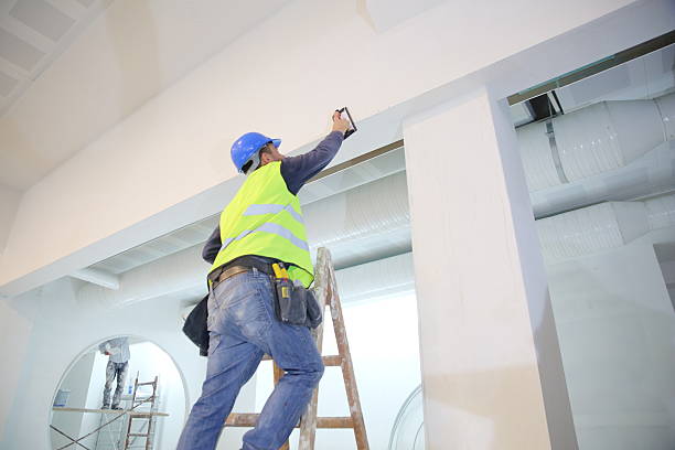 Best Mold Odor Removal Services  in Waterloo, IN